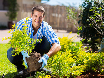 Débuter en jardinage : conseils de base